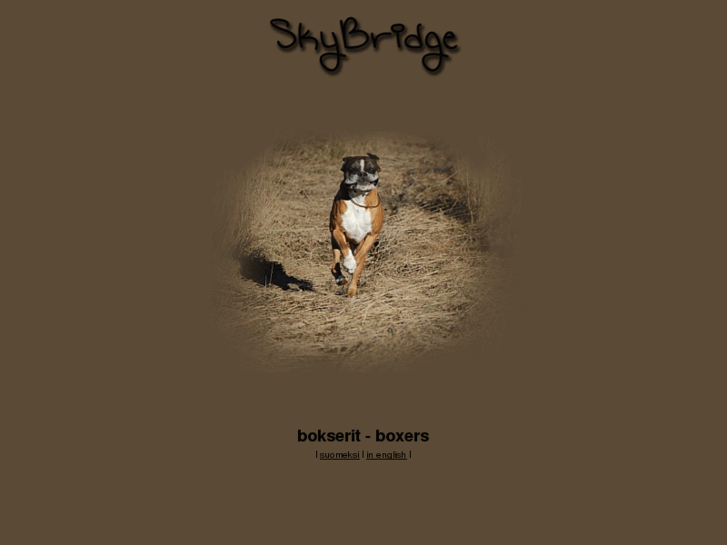 www.skybridge-boxers.com