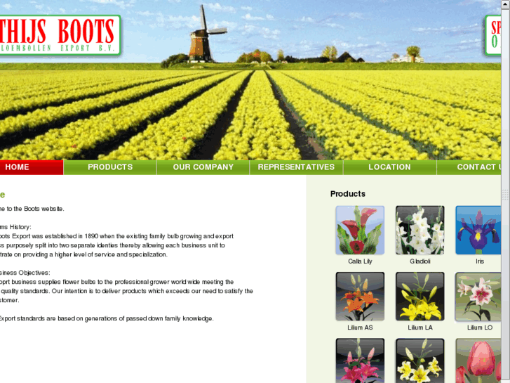 www.bootsflowerbulbs.com