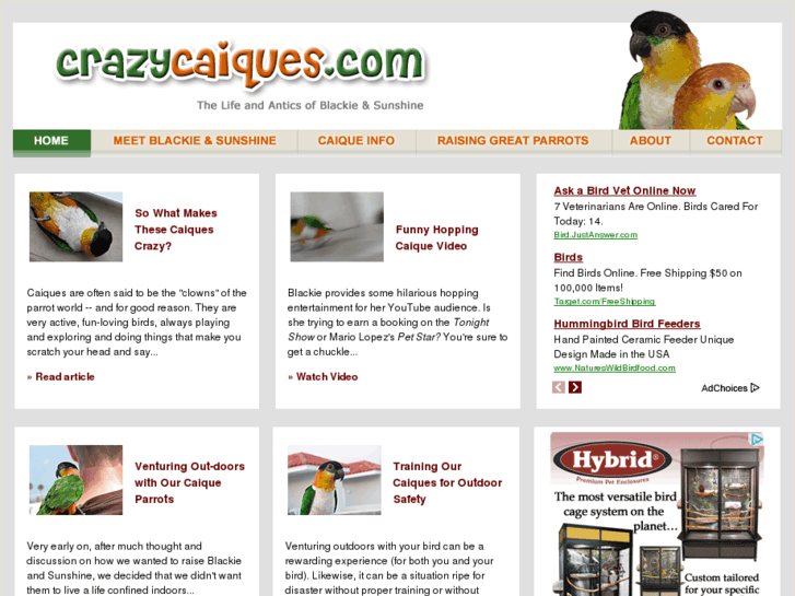 www.crazycaique.com