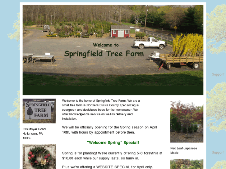 www.springfieldtreefarm.com