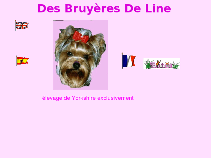 www.bruyeresdeline.com