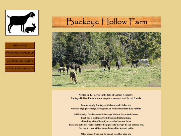 www.buckeyehollowfarm.com