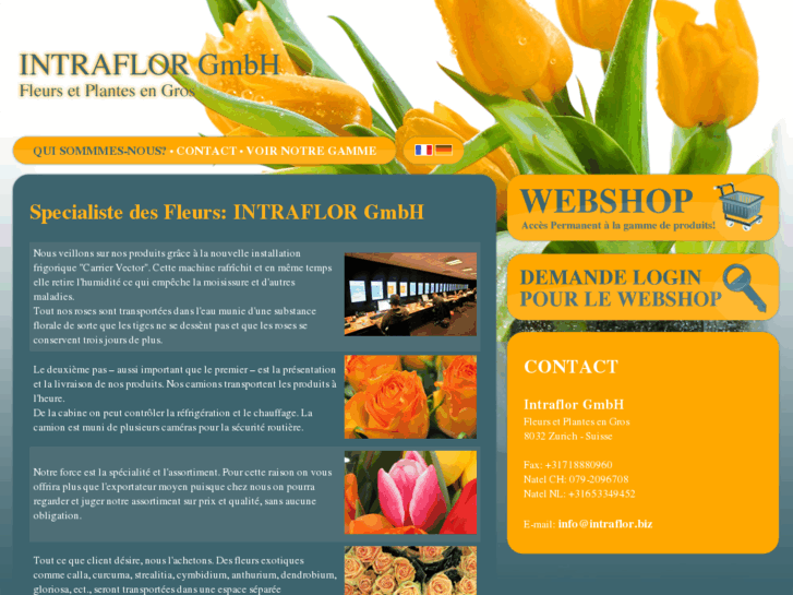 www.intraflor.biz