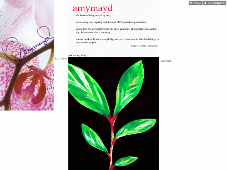 www.amymayd.com