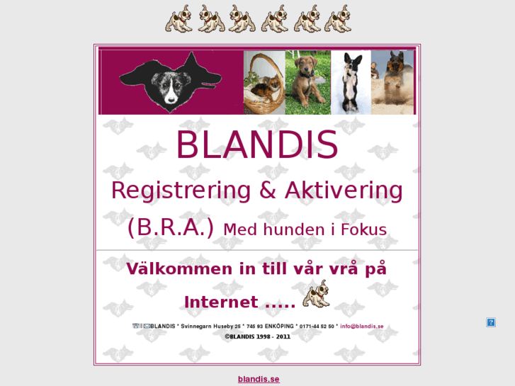 www.blandis.nu