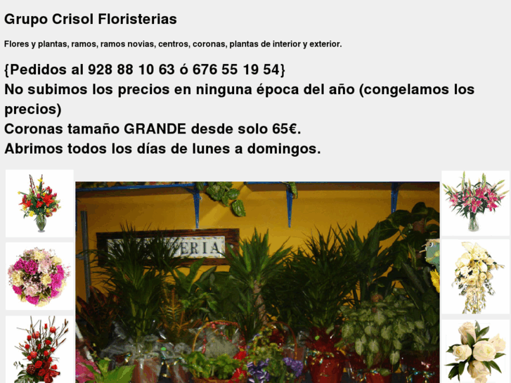 www.grupocrisolfloristerias.com