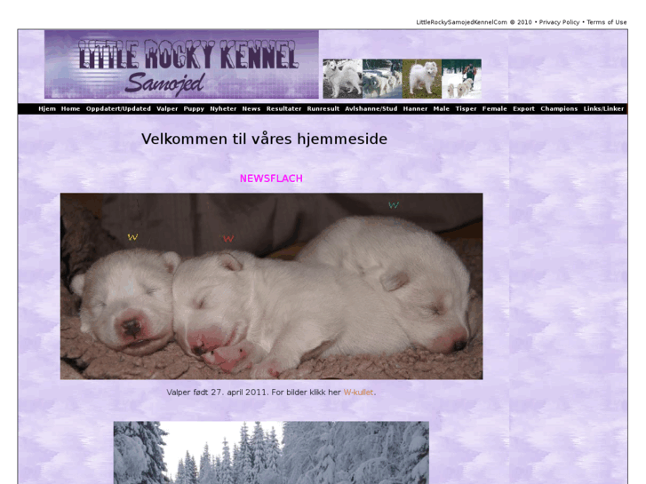 www.littlerockykennel.com