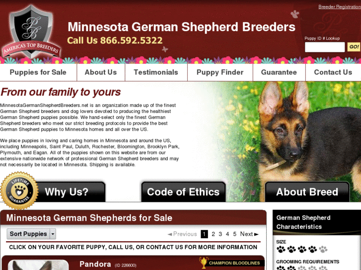 www.minnesotagermanshepherdbreeders.net