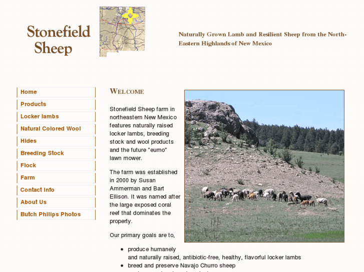 www.stonefieldsheep.com