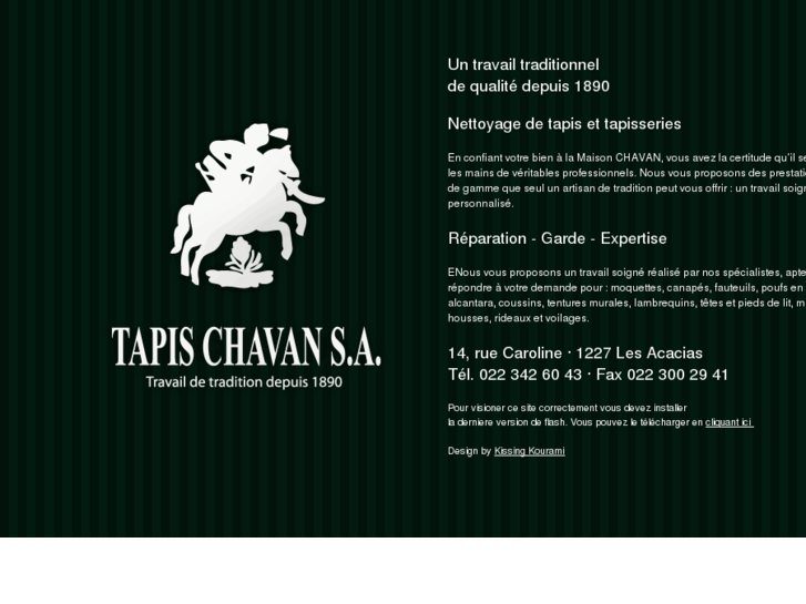 www.tapischavan.com