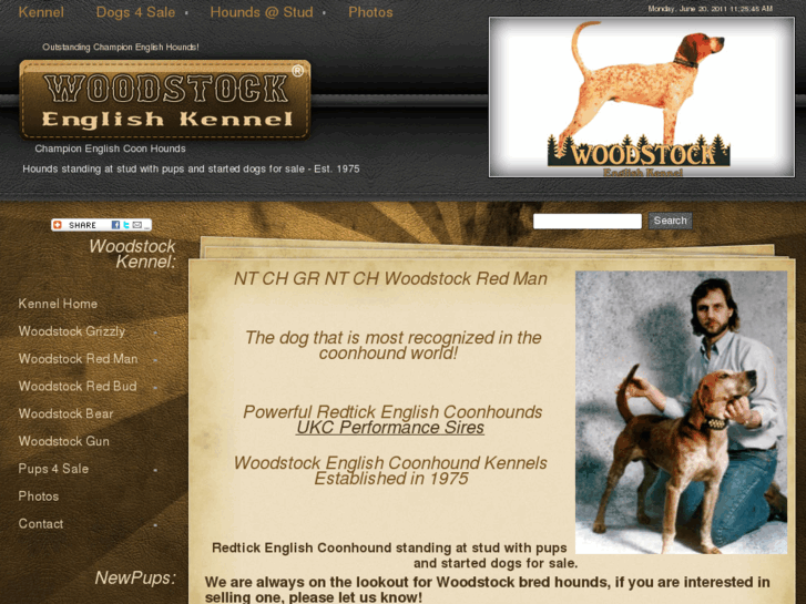 www.woodstockenglish.com