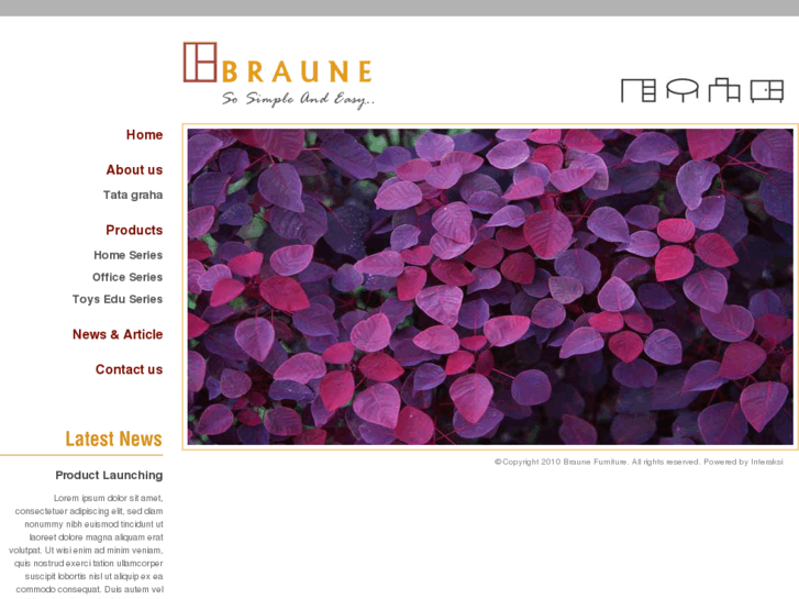 www.braunefurniture.com