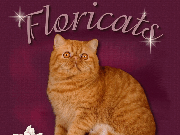 www.floricats.com