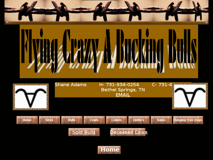 www.flyingcrazyabuckingbulls.com