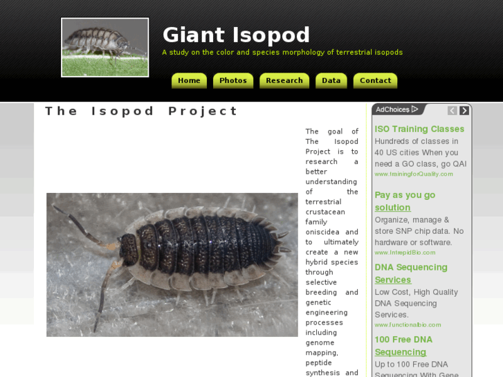 www.giantisopod.com