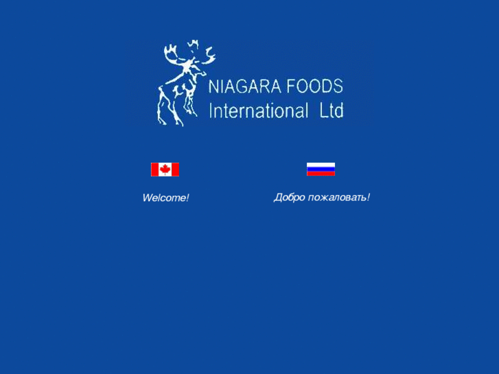 www.niagara-international.com