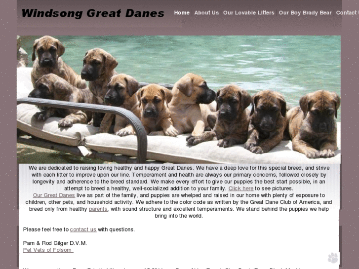 www.windsonggreatdanes.com