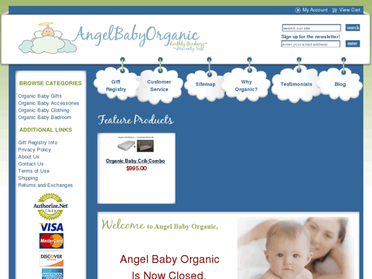 www.angelbabyorganic.com