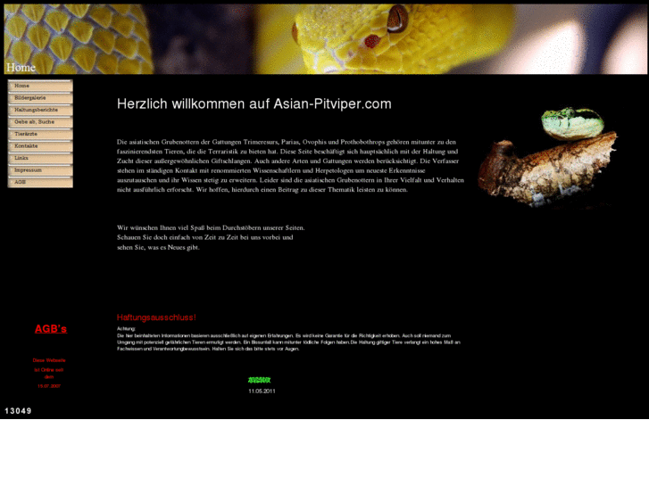 www.asian-pitviper.com