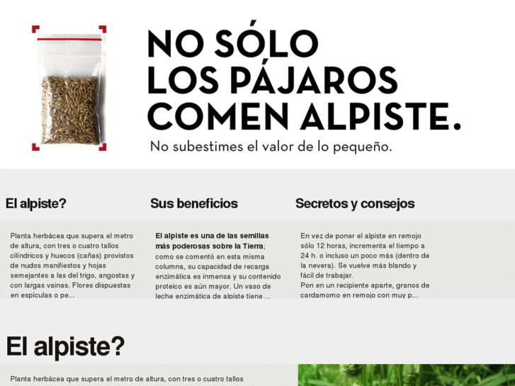 www.nosololospajaroscomenalpiste.com