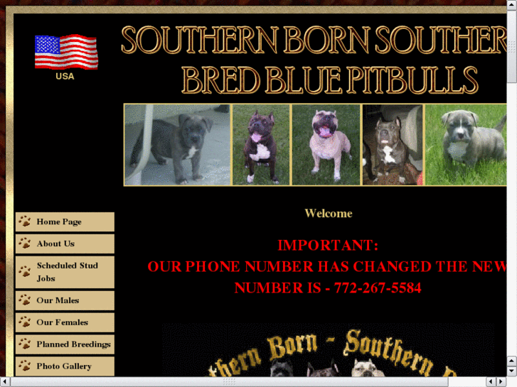 www.southernbornsouthernbredbluepitbulls.com