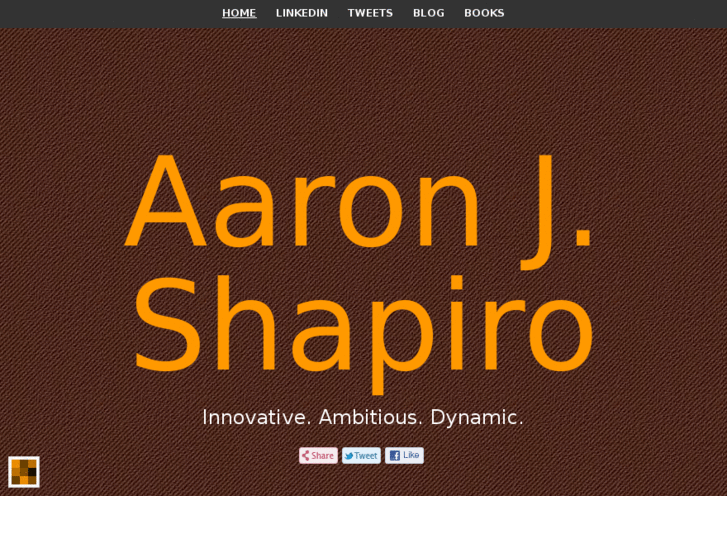 www.aaronjosephshapiro.com