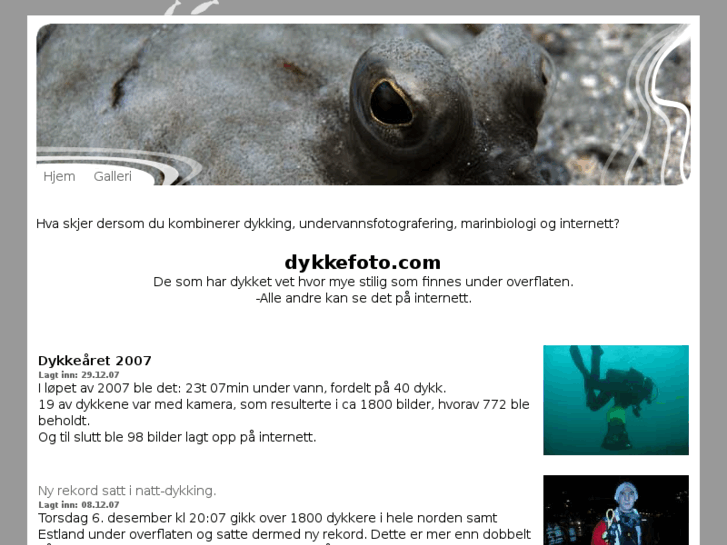 www.dykkefoto.com