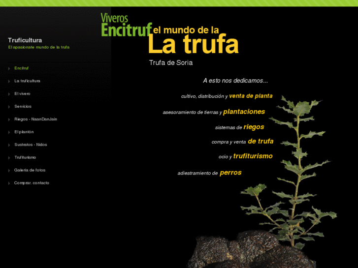 www.encitruf.es