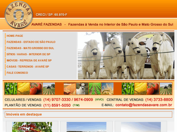 www.fazendasavare.com