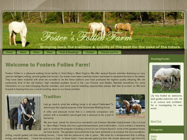 www.fostersfollies.net