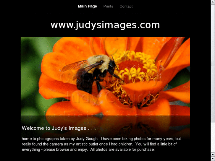 www.judysimages.com