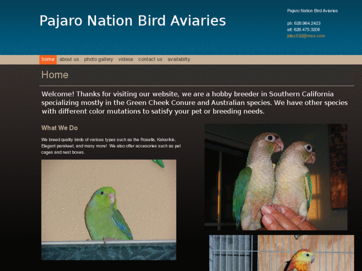 www.pajaronationbirds.com