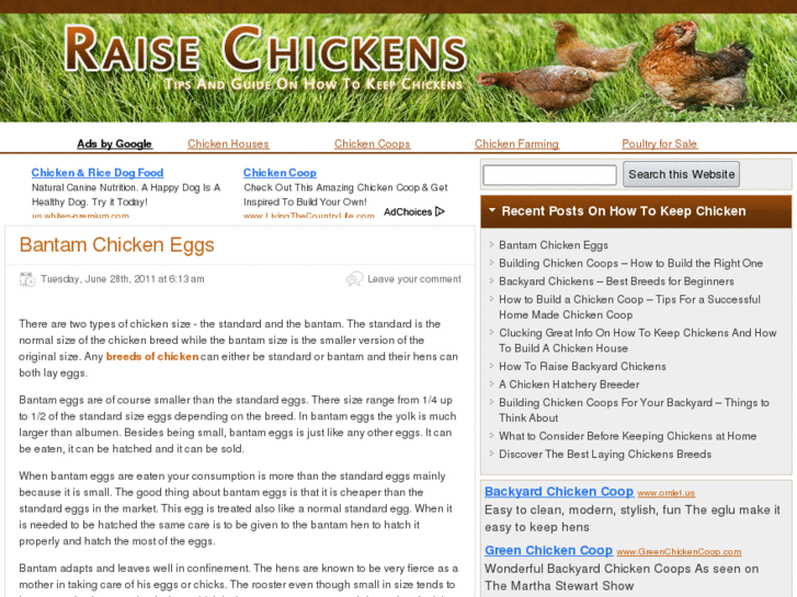 www.raisechickens.org