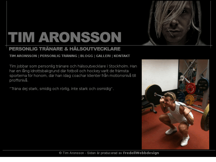 www.timaronsson.com