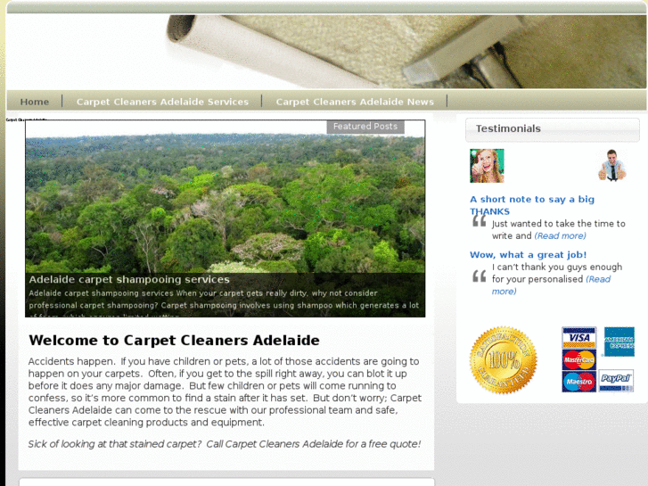 www.carpetcleanersadelaide.org
