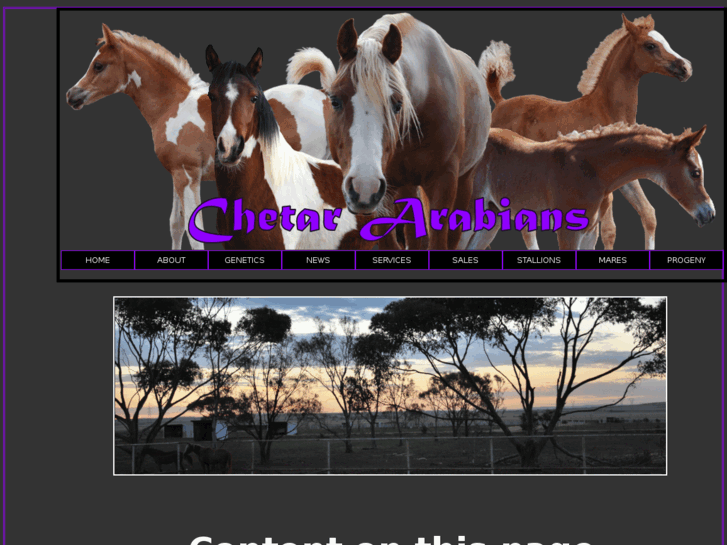 www.chetar-arabians.com