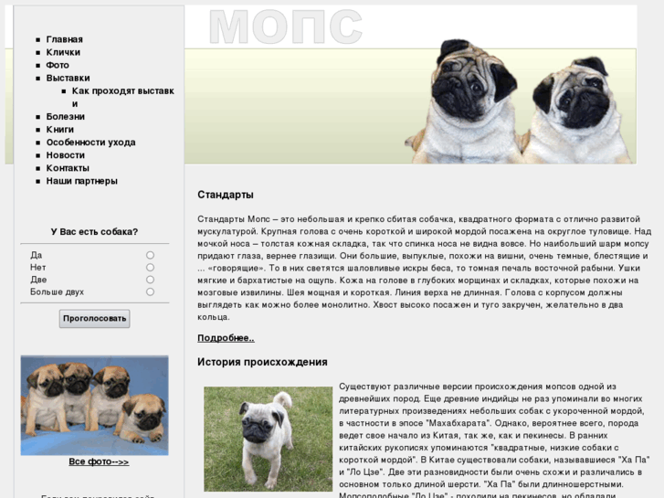 www.mops-dog.info