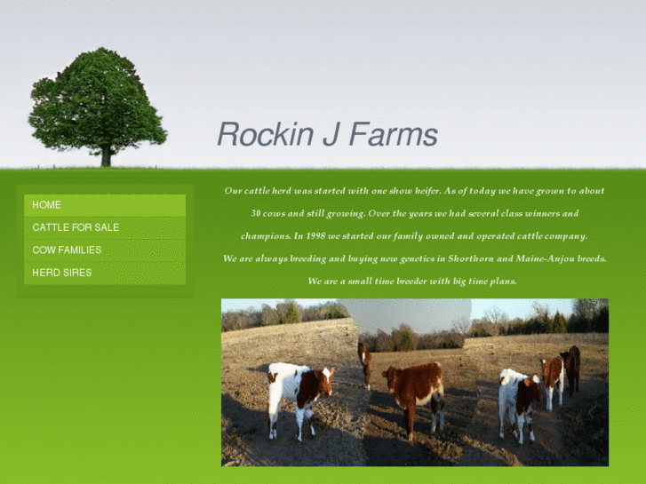 www.rockinjfarms.com