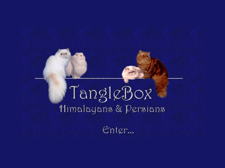 www.tanglebox.net