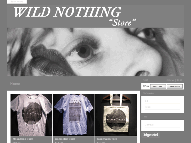 www.wildnothingmusic.com