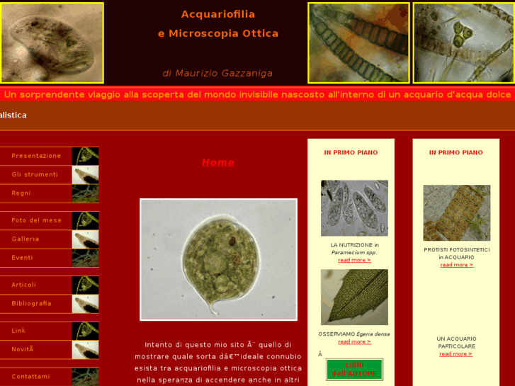 www.acquariofiliaemicroscopia.it