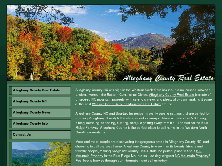 www.alleghanycountyrealestate.com