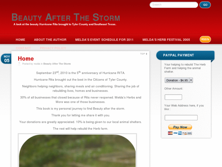 www.beautyafterthestorm.com