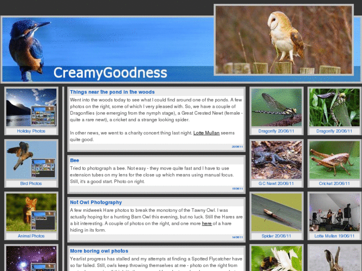 www.creamygoodness.co.uk