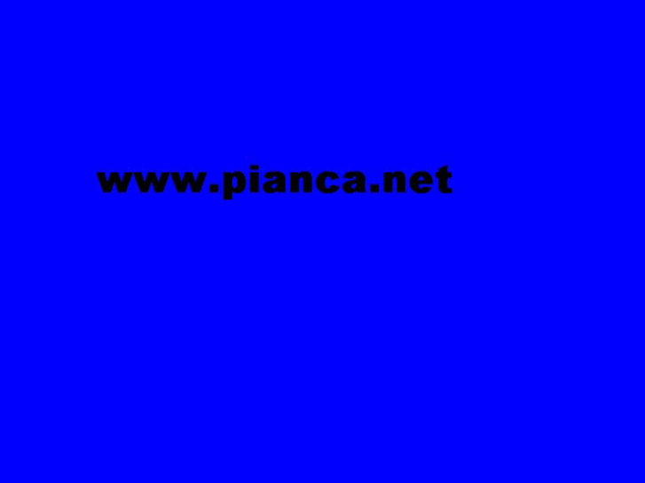 www.pianca.net