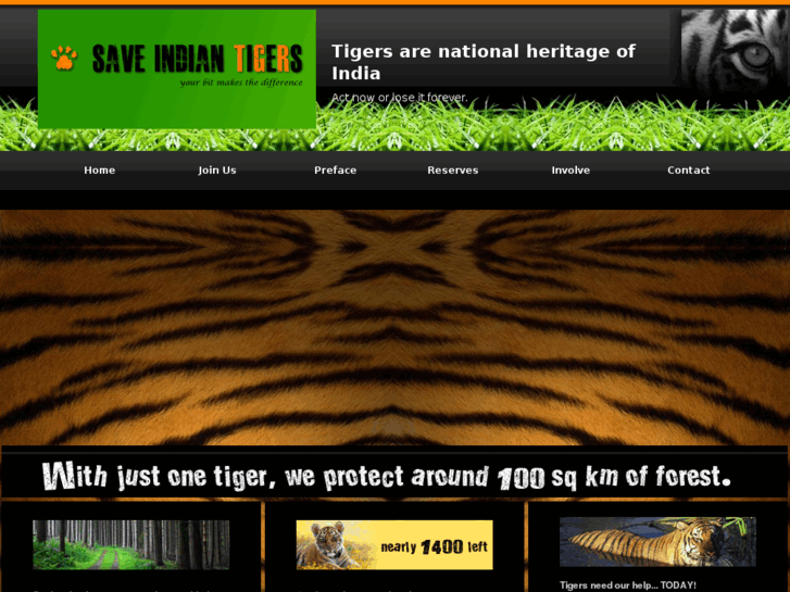 www.saveindiantigers.com