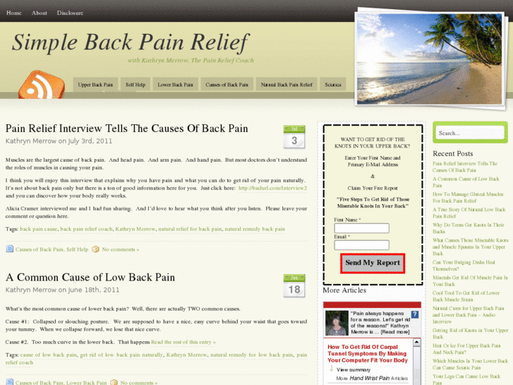 www.simplebackpainrelief.com