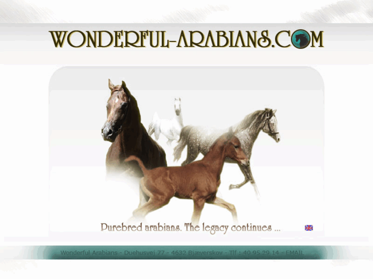 www.wonderful-arabians.com