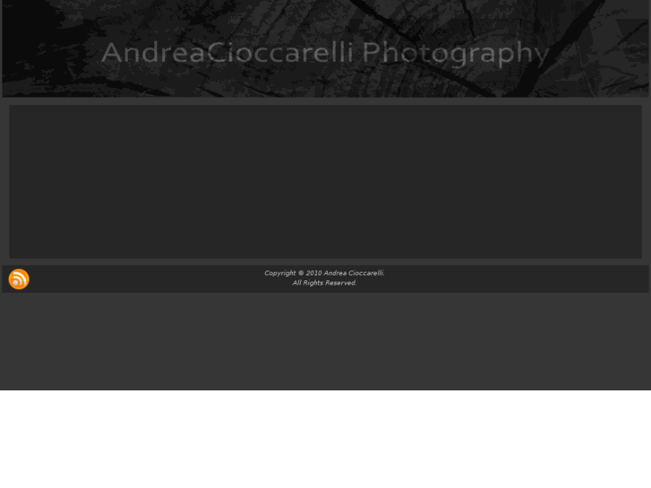 www.andreacioccarelli.com