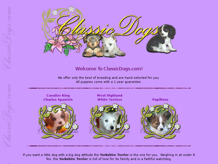 www.classicdogs.com